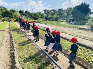 Các hoạt động ngoại khóa tại Casa Sunshine